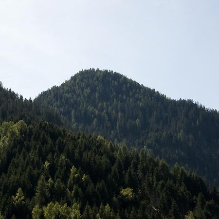 Haus Deiser Kappl  Δωμάτιο φωτογραφία
