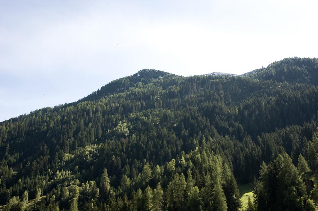 Haus Deiser Kappl  Δωμάτιο φωτογραφία