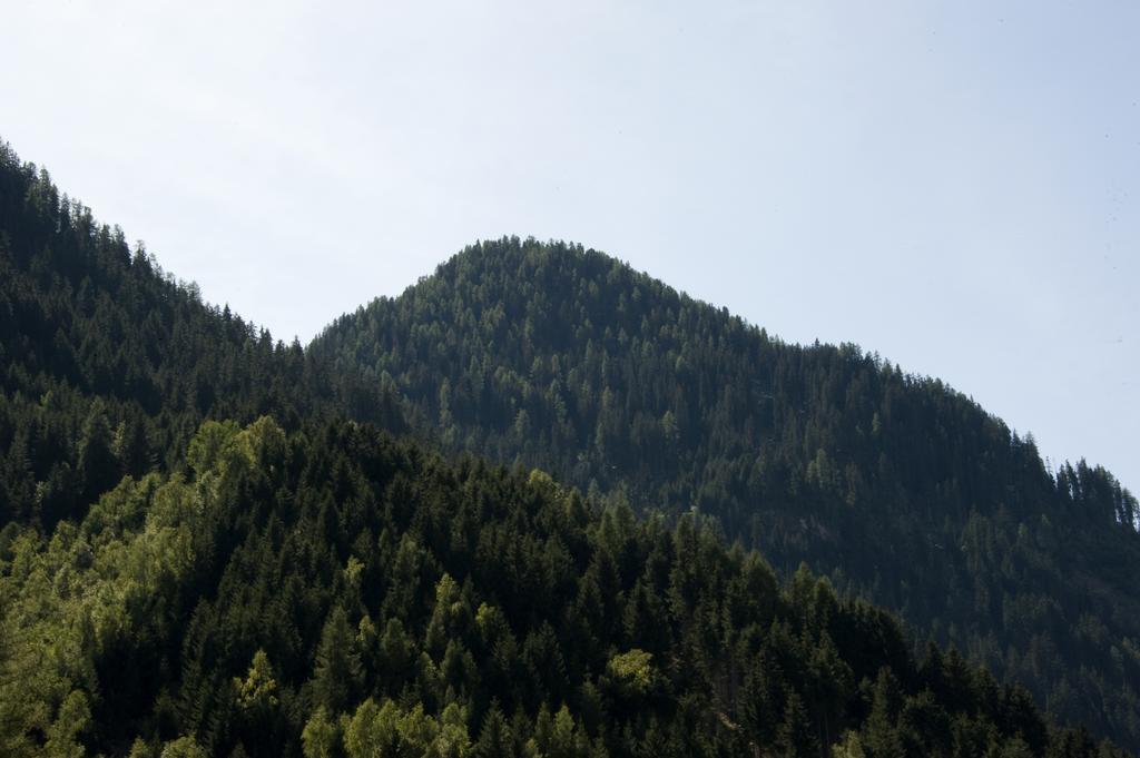 Haus Deiser Kappl  Δωμάτιο φωτογραφία